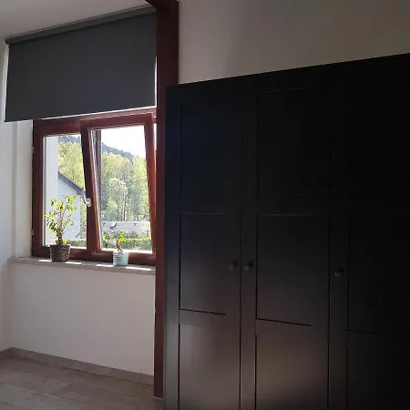 Apartment Wegespinne Zwota