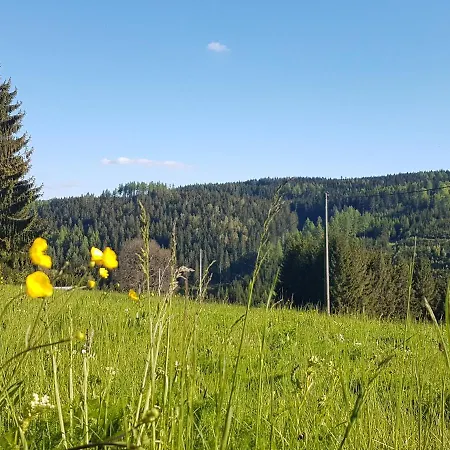 Wegespinne Apartment *