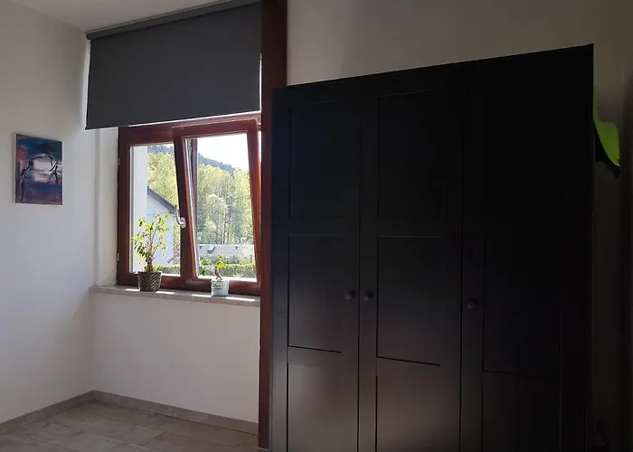 Apartment Wegespinne Zwota