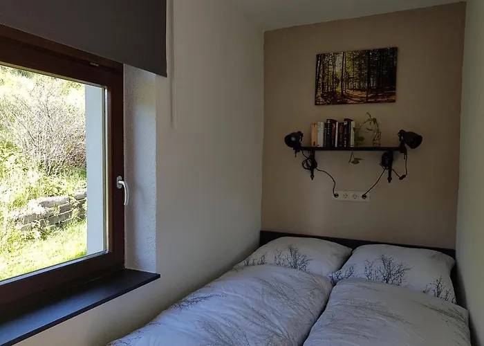 Wegespinne Apartment Zwota