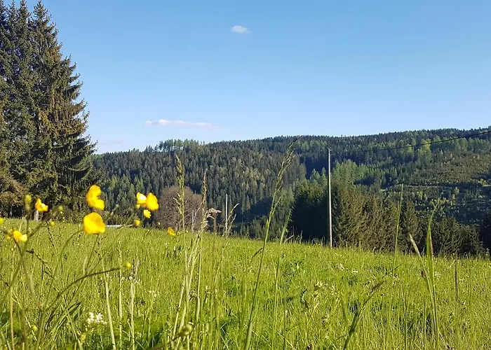 Wegespinne Apartment *