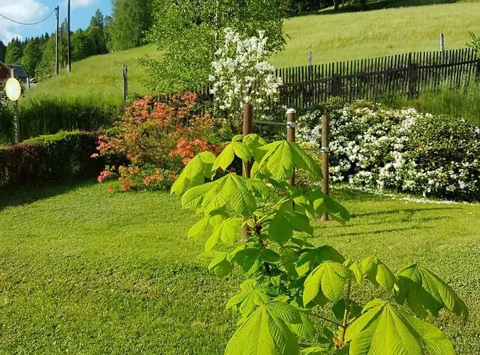 Apartment Wegespinne *