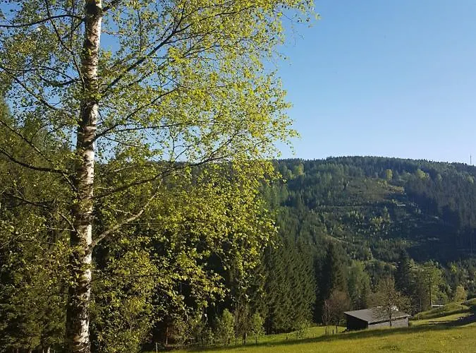 Apartment Wegespinne *